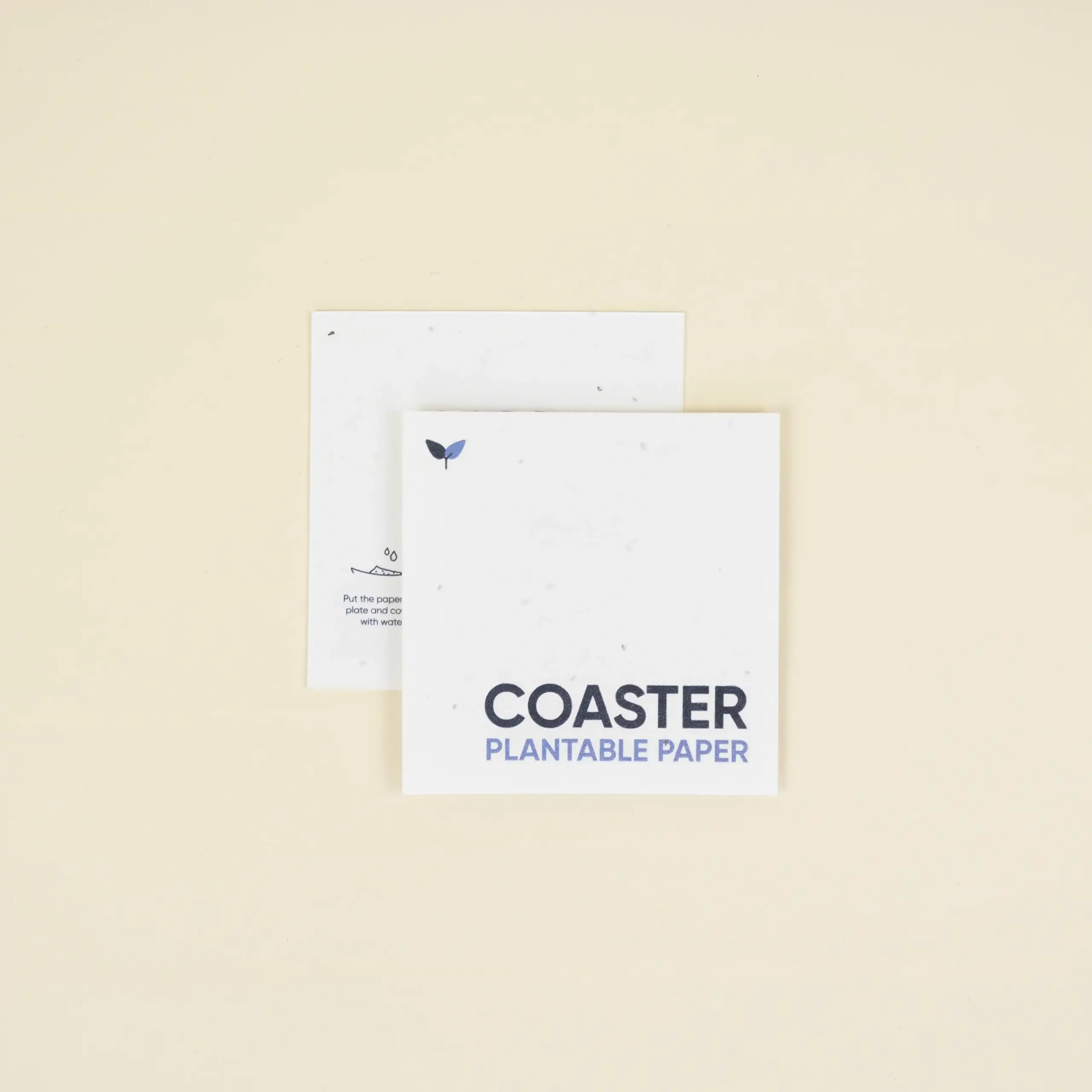 PAPIER À GRAINES : Sous-bock. 10 x 10 cm.